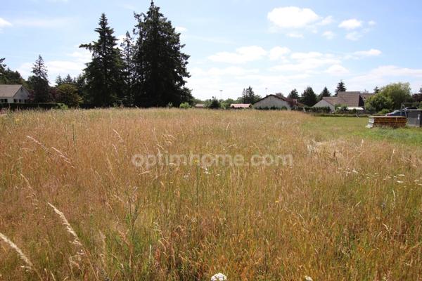 CHAUMONT SUR THARONNE, Beau terrain constructible de 3200 m2 non viabilisé