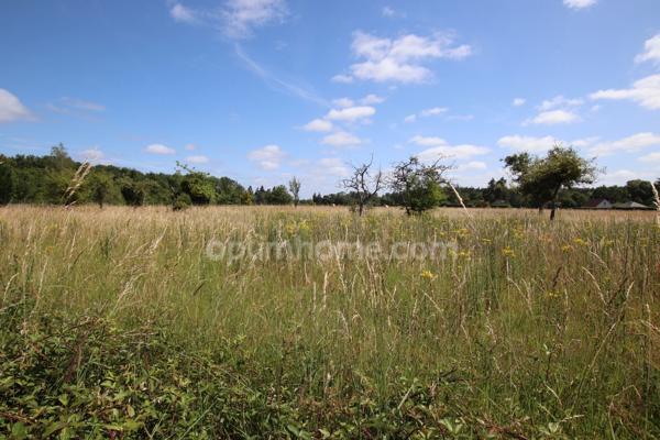 CHAUMONT SUR THARONNE, Beau terrain constructible de 3200 m2 non viabilisé
