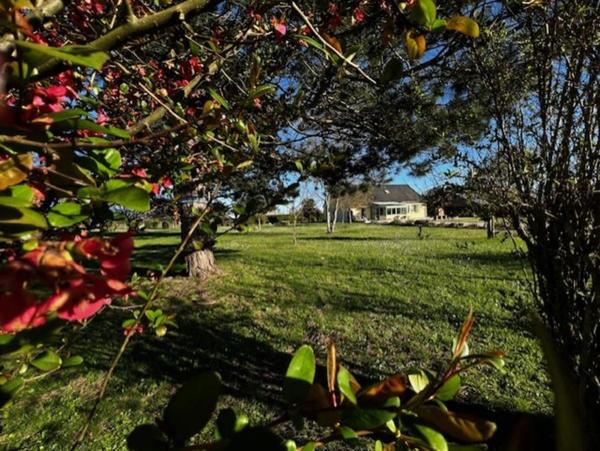 Maison à vendre 6 pièces MAZE (49)