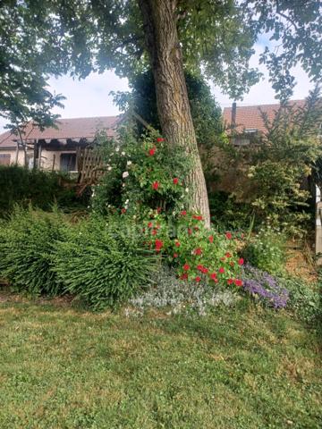 Maison à vendre SOULIGNE FLACE (72) maison de ville