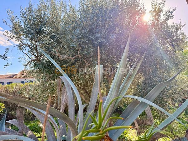 Vente Maison177,98 m² - 7 Pièces - RIEUX MINERVOIS (11160)