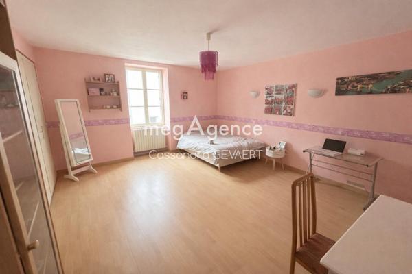 Maison à BEAUPREAU-EN-MAUGES, 49510 - 7 pièces 170m²