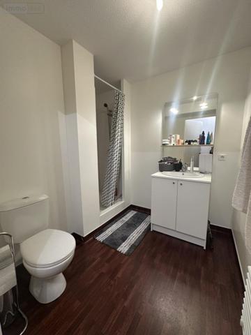 Appartement à vendre à Hennebont dans le Morbihan (56700), ref : 56029-1364