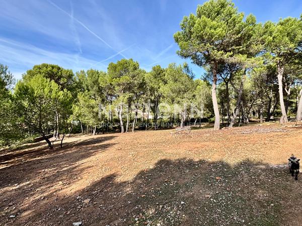 Maison composée de deux habitations (T5 140m² + T2 de 60m²) sur une parcelle de 4290m² dans un secteur prisé