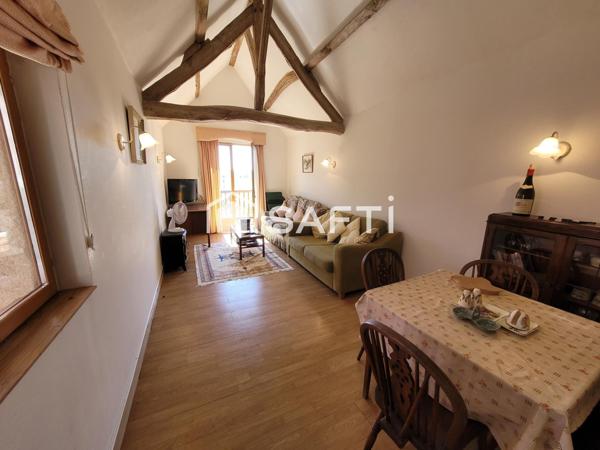 MAISON CAMPAGNE (centre bourg) + GITE + PISCINE