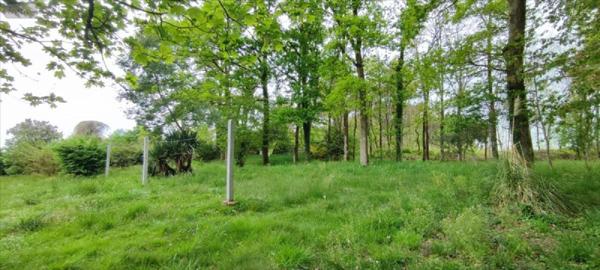 Maison à vendre à Bains-sur-Oust en Ille-et-Vilaine (35600), ref : 143/189M