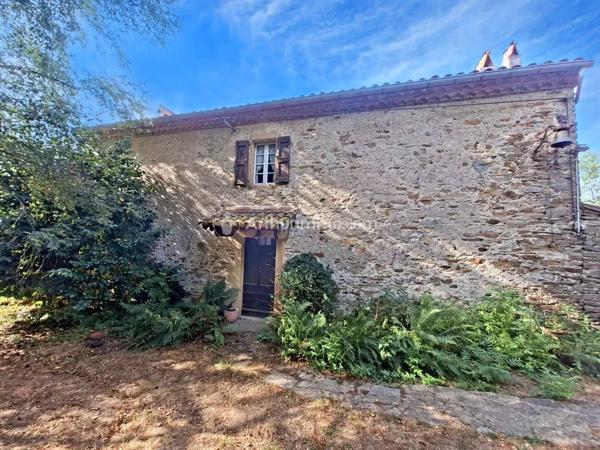 Vente                                                      Propriété
                        
                     7 pièces                      195 m2                     à Saint-Amans-Valtoret