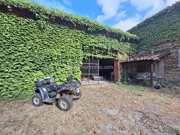 Vente                                                      Propriété
                        
                     7 pièces                      195 m2                     à Saint-Amans-Valtoret