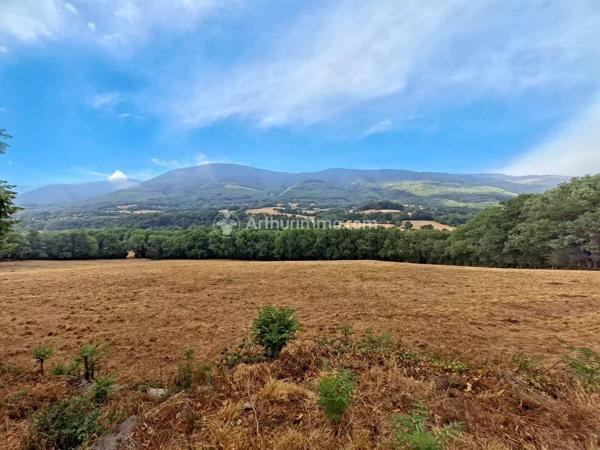 Vente                                                      Propriété
                        
                     7 pièces                      195 m2                     à Saint-Amans-Valtoret