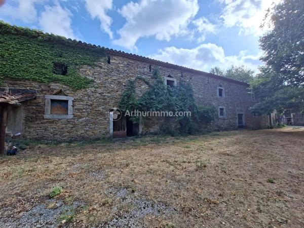 Vente                                                      Propriété
                        
                     7 pièces                      195 m2                     à Saint-Amans-Valtoret
