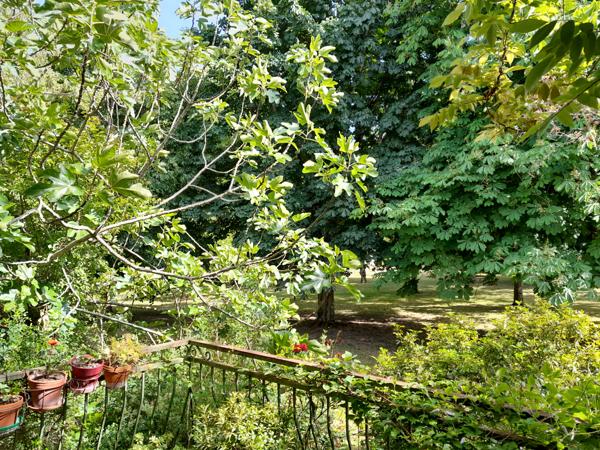 Ensemble de 2 MAISONS MITOYENNES sur SOUS-SOL sur TERRAIN de 4207m²