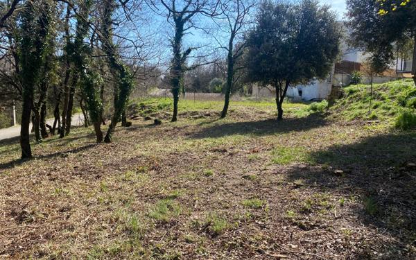 Terrain à vendre    Donzère