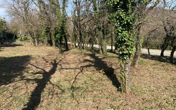 Terrain à vendre    Donzère