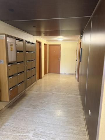 Appartement à SAINT JEAN DE BRAYE (45800)