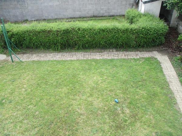 Maison à louer à Carhaix-Plouguer dans le Finistère (29270), ref : 29064-1085601