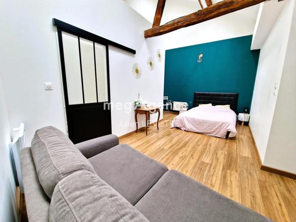 Maison à ORLEANS, 45000 - 10 pièces 252m²