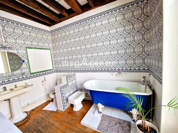 Maison à ORLEANS, 45000 - 10 pièces 252m²