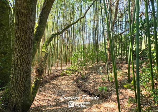PROPRIÉTÉ DE CARACTÈRE 348 m² de plain Pied 1,8 HECTARES, PISCINE, GARAGE, ENTRE BORDEAUX ET PERIGUEUX, A PROXIMITE DE SAINT-ÉMILION ET BERGERAC