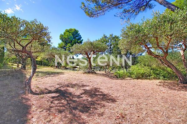 À VENDRE ! SALERNES ! TERRAIN CONSTRUCTIBLE DE 1 680 m² CLOS AVEC OLIVIERS