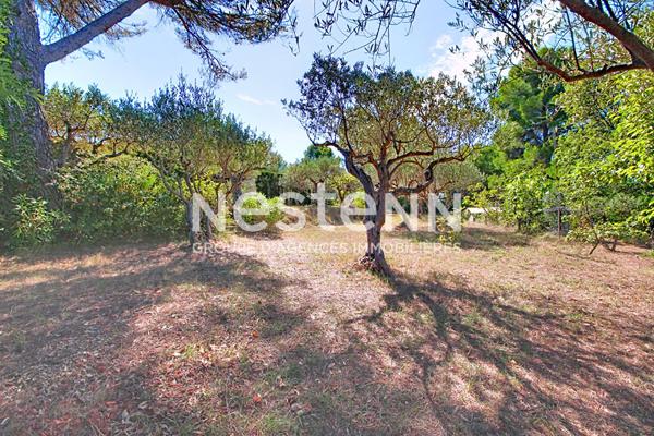 À VENDRE ! SALERNES ! TERRAIN CONSTRUCTIBLE DE 1 680 m² CLOS AVEC OLIVIERS