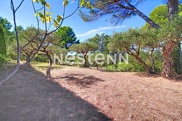 À VENDRE ! SALERNES ! TERRAIN CONSTRUCTIBLE DE 1 680 m² CLOS AVEC OLIVIERS