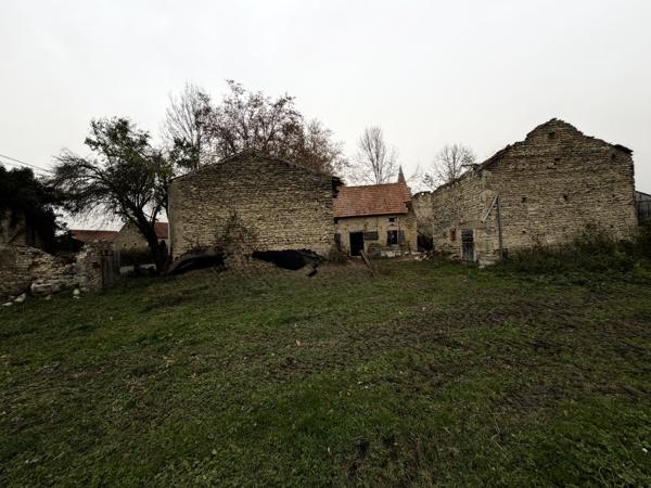 Terrain