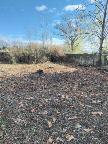 Terrain