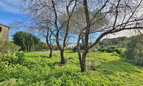 AFA Belle villa individuelle Afa (20167)