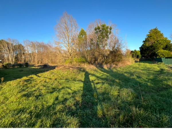 Terrain  1292 m2 libre constructeur  Mios