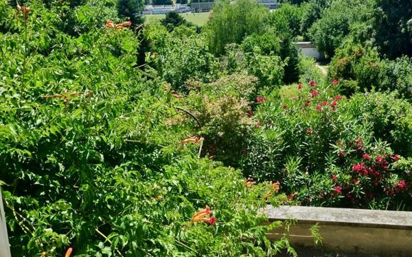 Maison à vendre    7 pièces •  Saint-Jean-de-Bournay