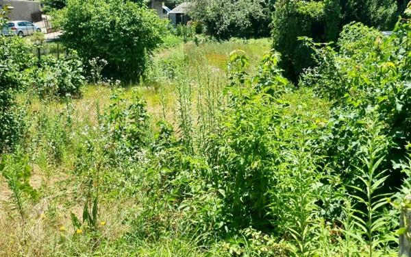 Maison à vendre    7 pièces •  Saint-Jean-de-Bournay