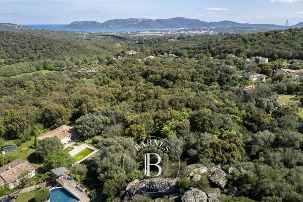 Porto-Vecchio, Terrain constructible  2 610 m² à vendre