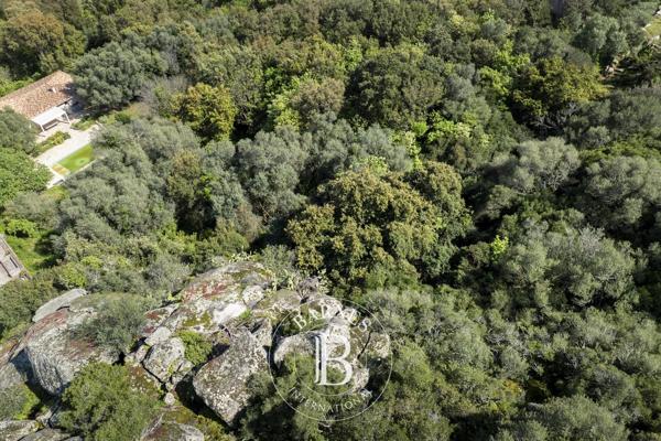 Porto-Vecchio, Terrain constructible  2 610 m² à vendre