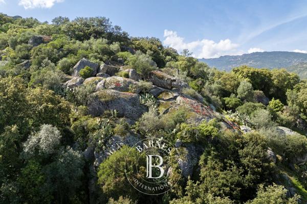 Porto-Vecchio, Terrain constructible  2 610 m² à vendre