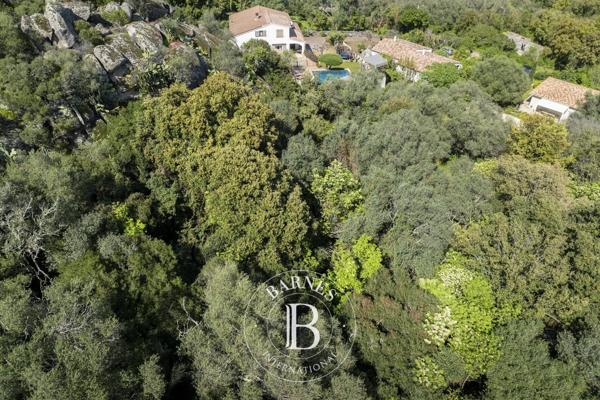 Porto-Vecchio, Terrain constructible  2 610 m² à vendre