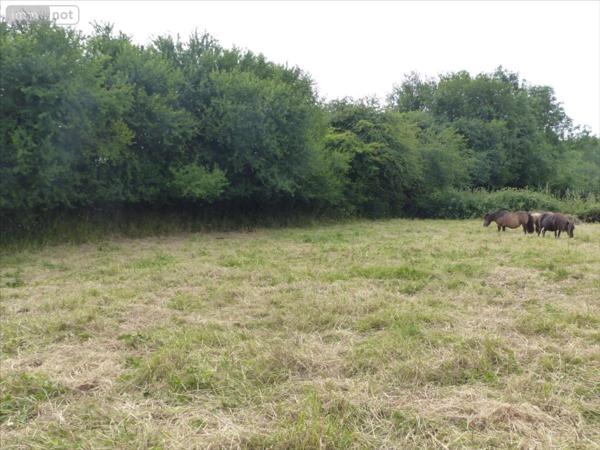 Terrain à Batir à vendre à La Haye dans la Manche (50250), ref : 50061-1054514