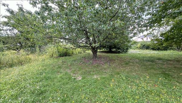 Terrain à vendre 39 550 € Saint-Aignan 1121 m² DPE
