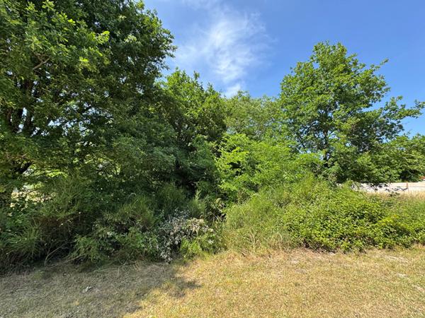 TERRAIN A BÂTIR A ROMORANTIN