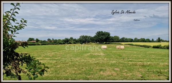 Parcelle de Terrain à bâtir, à vendre, hors lotissement de 2 493,00 m² BEREZIAT (01) plat, calme, campagne