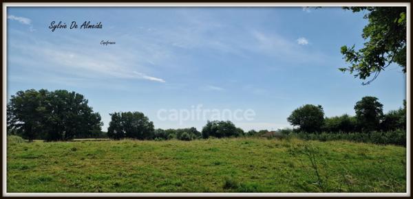 Parcelle de Terrain à bâtir, à vendre, hors lotissement de 2 493,00 m² BEREZIAT (01) plat, calme, campagne