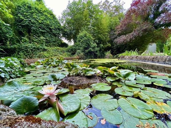 Aux portes de Carcassonne: magnifique propriété, parc de 1,5 Ha, piscine. Carcassonne