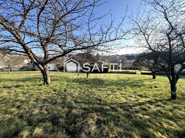 Maison sur terrain de 43 ares dont 19,5 en zone constructible