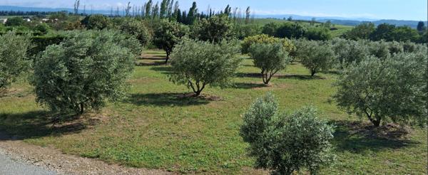 Superbe terrain de loisir avec Hangar