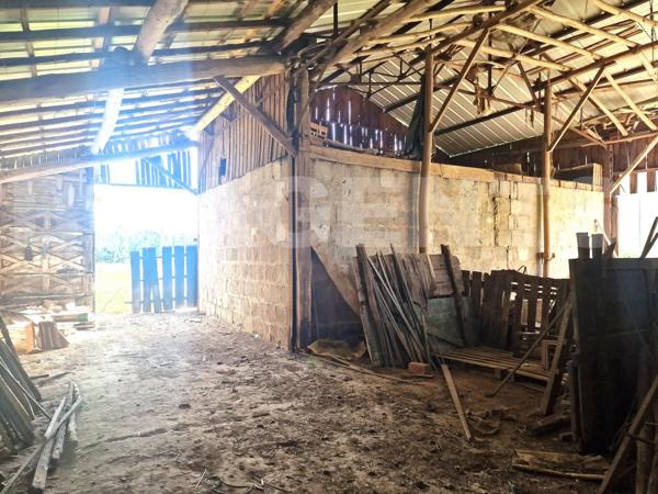 Moissac — Maison/ferme de 230 m² sur 1,9 ha, dépendances et potentiel équestre/agricole