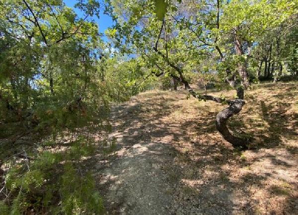 Terrain à vendre    Pierrevert