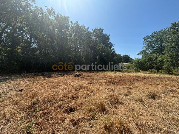 Vente
                Terrain1203 m² - ETAULES (17750)