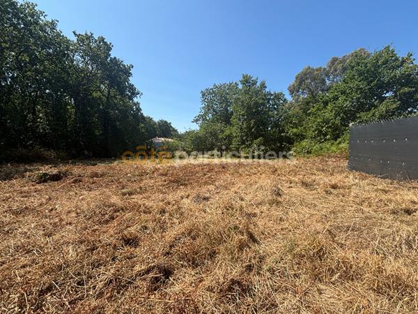Vente
                Terrain1203 m² - ETAULES (17750)