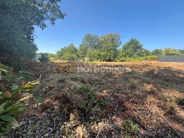 Vente
                Terrain1203 m² - ETAULES (17750)