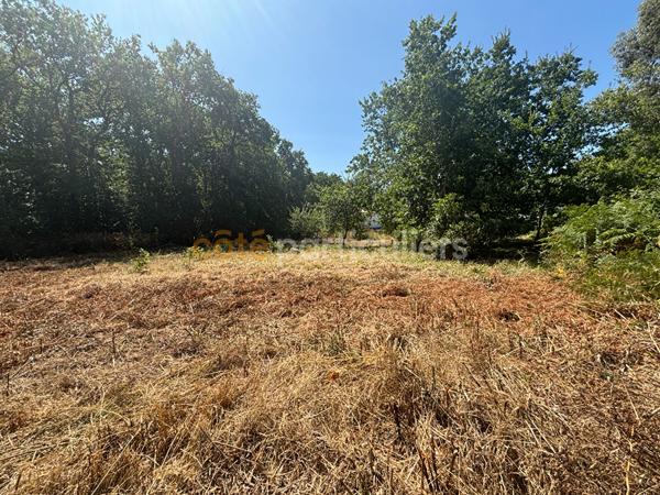 Vente
                Terrain1203 m² - ETAULES (17750)