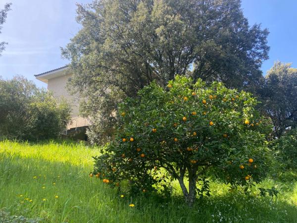 Dpt Corse (20), à vendre PERI maison P4